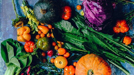 Праздник урожая Harvest Fest