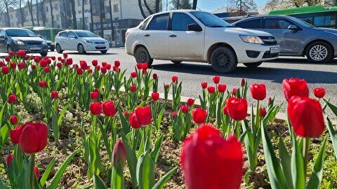 Как провести выходные в Шымкенте (18-19 марта)