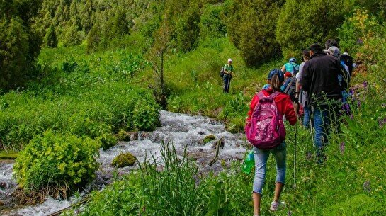 Пикник в Сайрамсу с шурпой от Si Tour