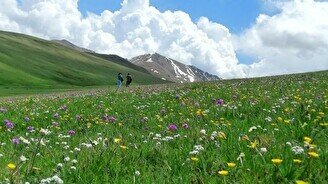 Тур на плато Асы и на Тургенский водопад