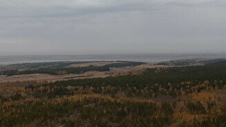 Леса рядом с поселком Акколь